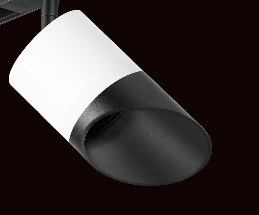 Светильник на штанге Lightstar Rullo PRO348687