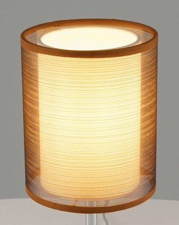 Настольная лампа декоративная Moderli Room V10626-1T