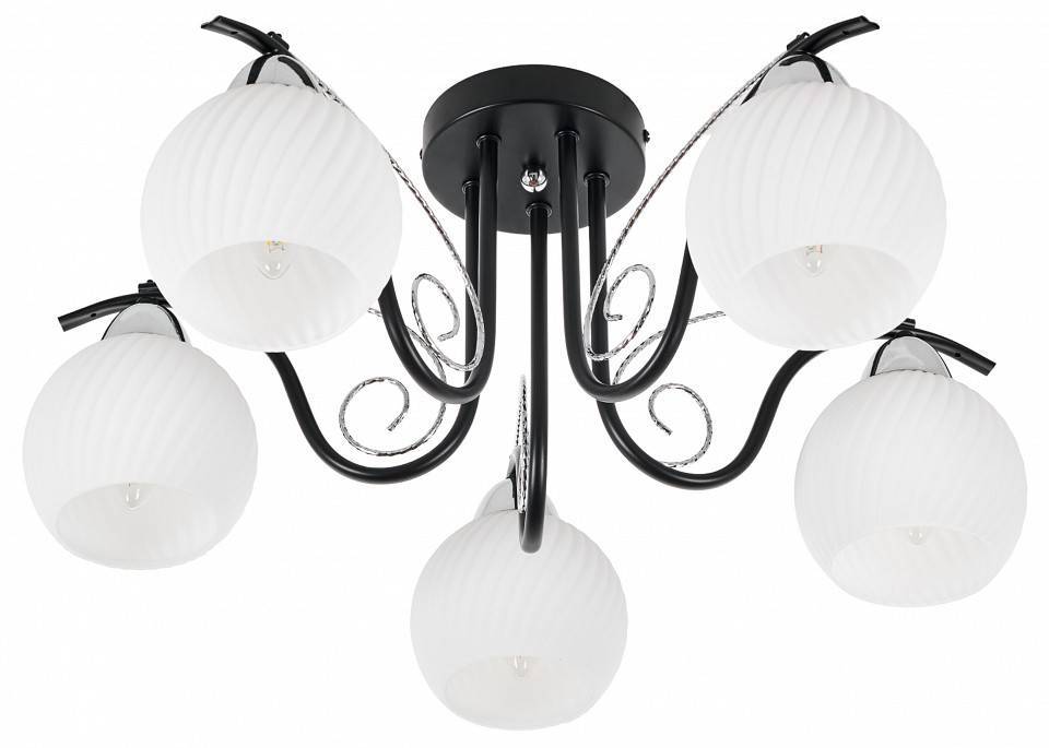 Потолочная люстра MyFar Daniella 5 ламп MR1570-5C