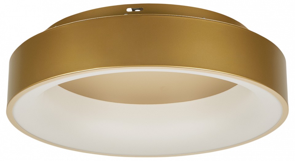 Накладной светильник MyFar Shannon MR2195-1PL