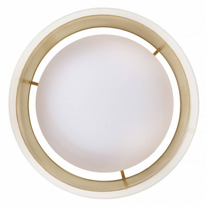 Накладной светильник MyFar Anders MR2371-1CL