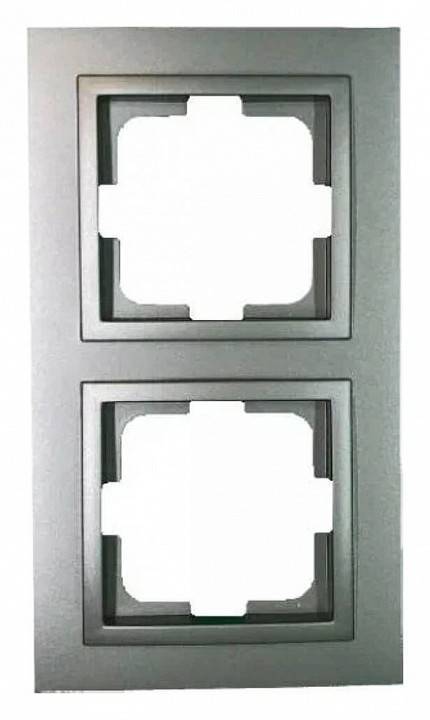 Рамка на 2 поста Mono Electric Despina 102-240000-161