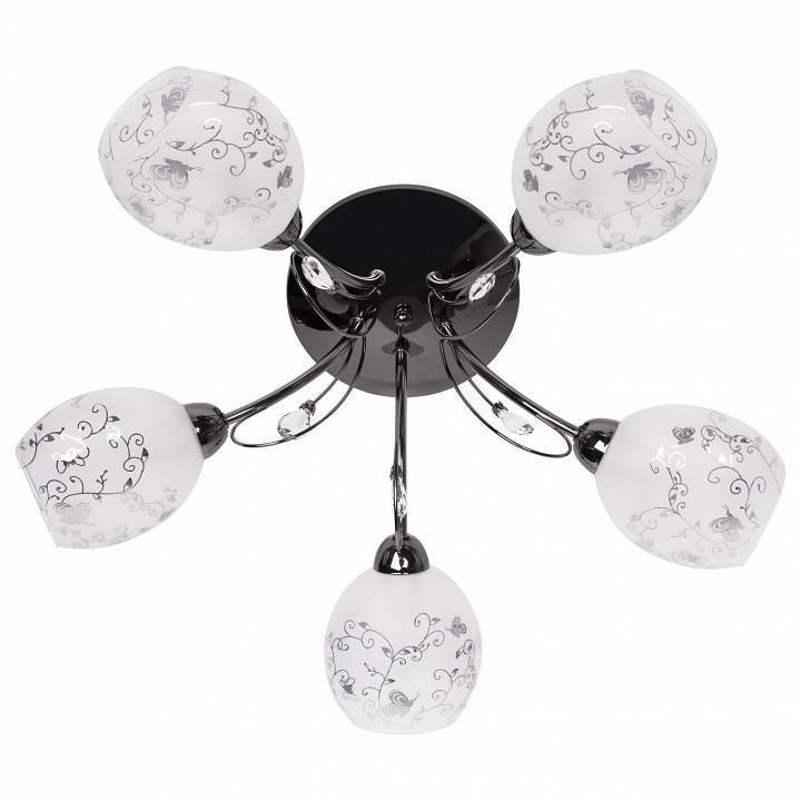 Потолочная люстра MW-Light Фиеста 2 5 ламп 267013505