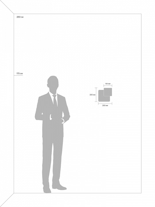 Накладной светильник Freya Siala 02 FR10027WL-L13B