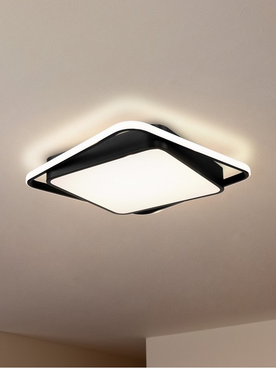 Накладной светильник Freya  FR10030CL-L88B