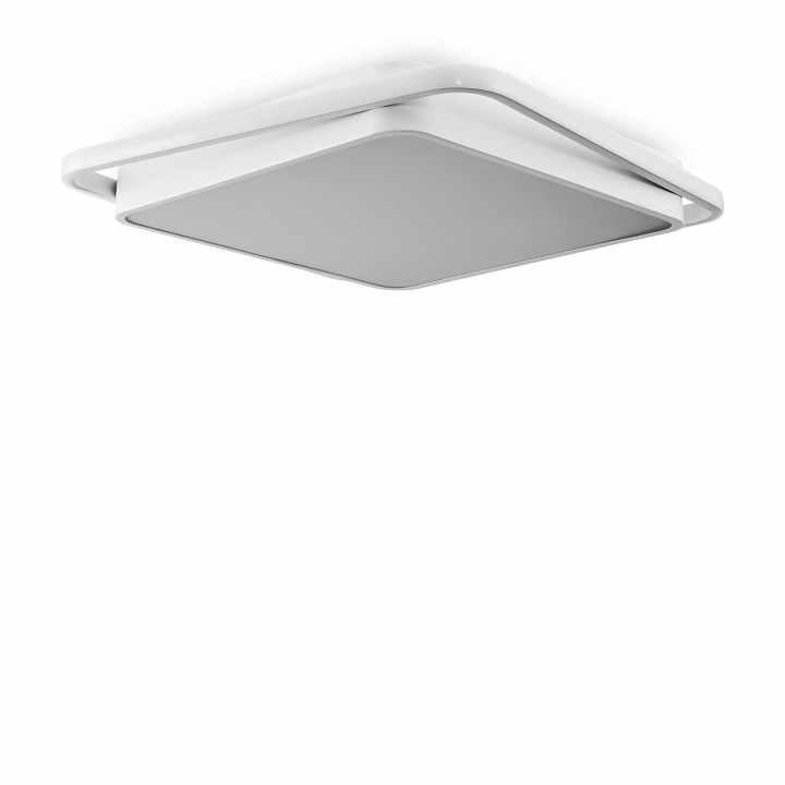 Накладной светильник Freya  FR10030CL-L88W