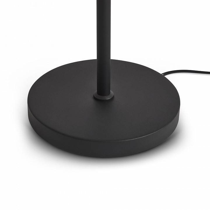 Торшер Freya Aqua FR5553FL-L20B