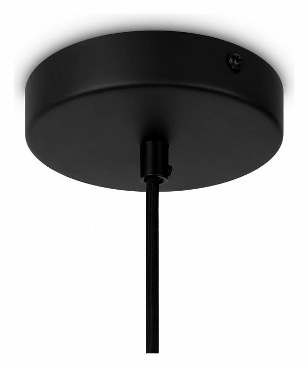 Подвесной светильник Maytoni Roots MOD195PL-01W1