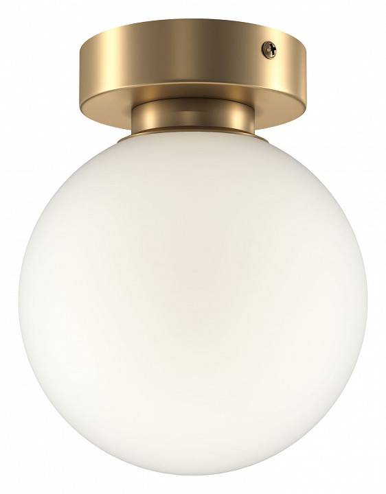 Накладной светильник Maytoni Basic form MOD321WL-01G1