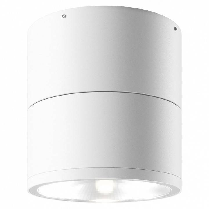 Светильник уличный потолочный Maytoni Spin 12 Вт 3000K O310CL-L12W3K