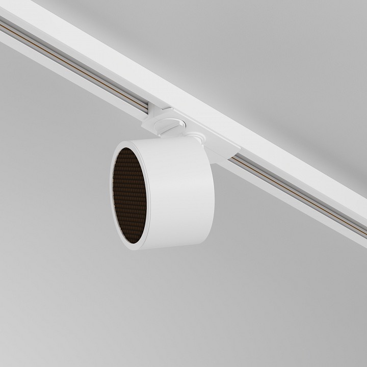 Светильник на штанге Maytoni  TR225-1-GX53-W