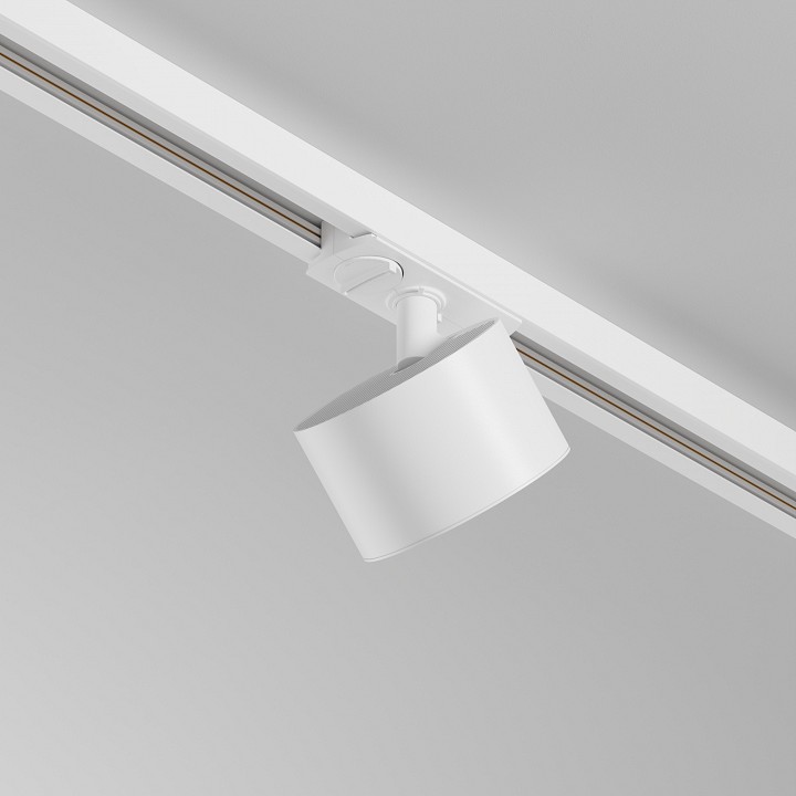 Светильник на штанге Maytoni  TR225-1-GX53-W