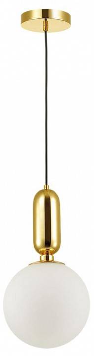 Подвесной светильник Odeon Light Okia 4669/1