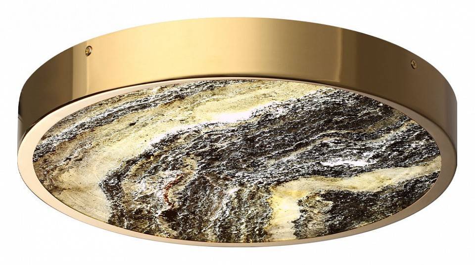 Накладной светильник Odeon Light Bergi 5079/30L