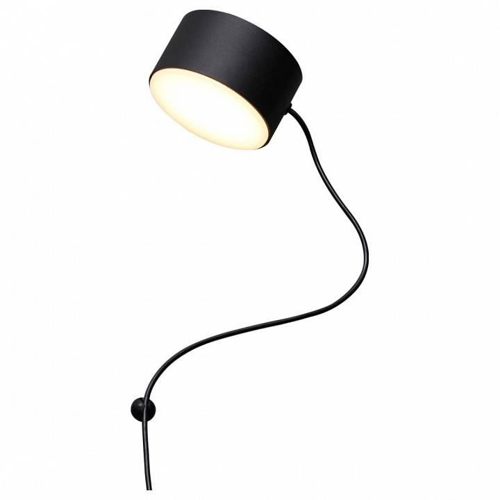 Бра Odeon Light Nera 7 Вт 6600/7WL