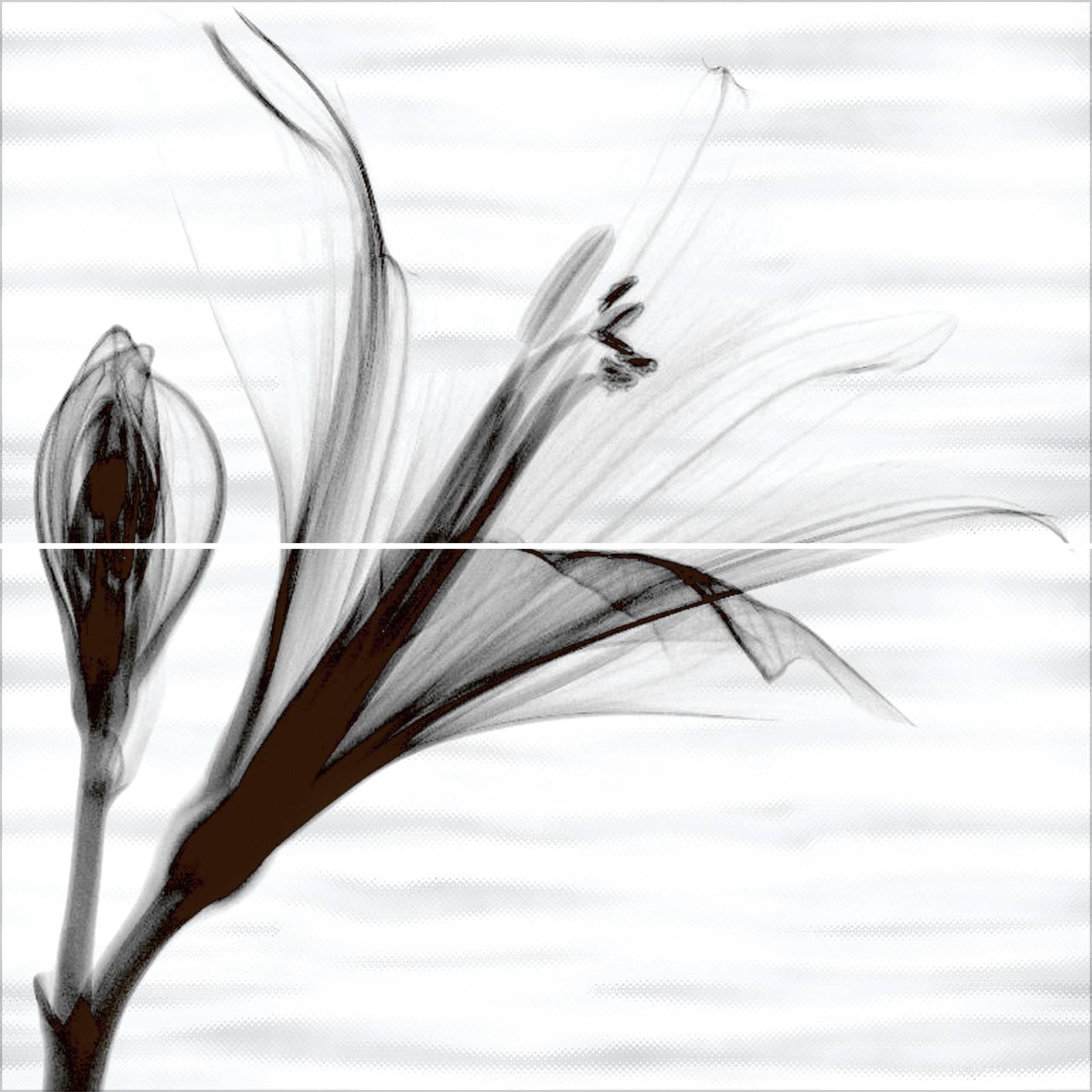 Панно из 2 плиток ALMA Ceramica Esta 498х500х8.5 мм PWU09EST1