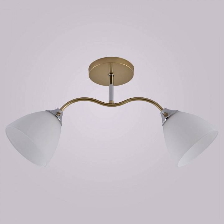 Светильник на штанге Reluce 01643 GOLD+CR 01643-0.3-02