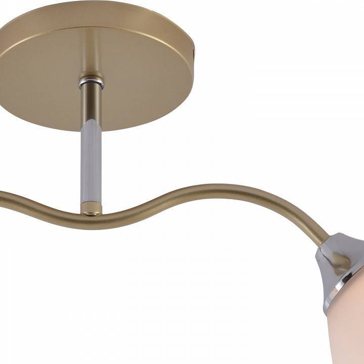 Светильник на штанге Reluce 01643 GOLD+CR 01643-0.3-02