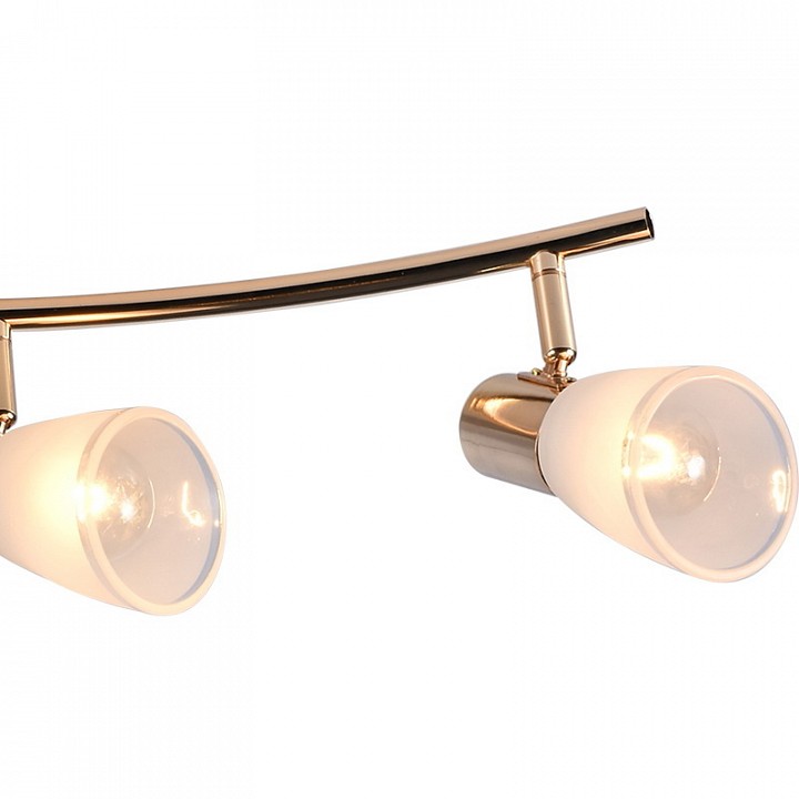 Люстра на штанге De Markt 05947-0.8-04 FGD