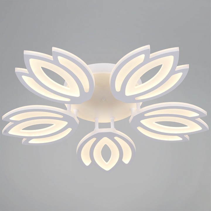 Люстра на штанге Reluce 08429-0.3-05 WH