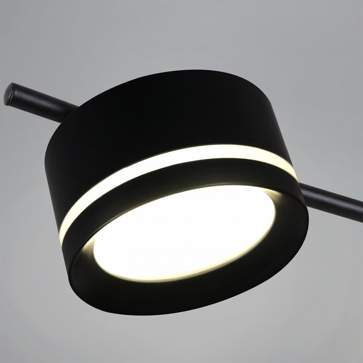 Люстра на штанге  10590-0.3-04 Black