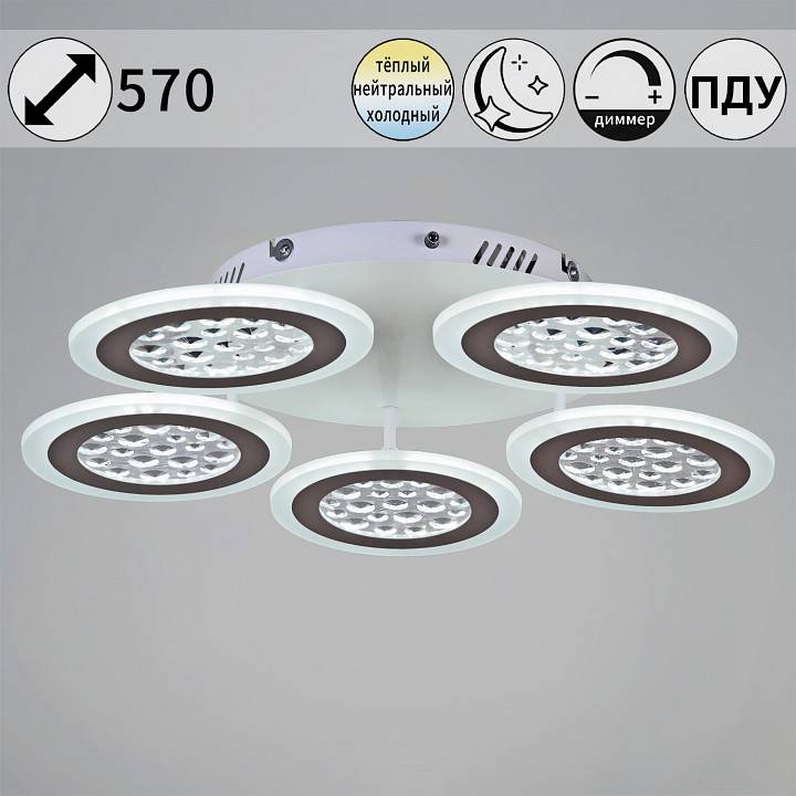 Потолочная люстра 20491-0.3-05 WT