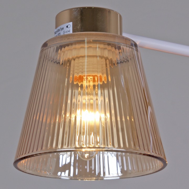 Люстра на штанге  20560-0.3-03 WH+FG