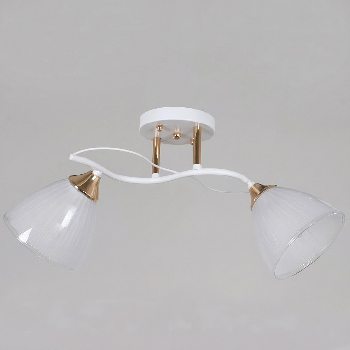 Светильник на штанге  64460-0.3-02 WH+FG