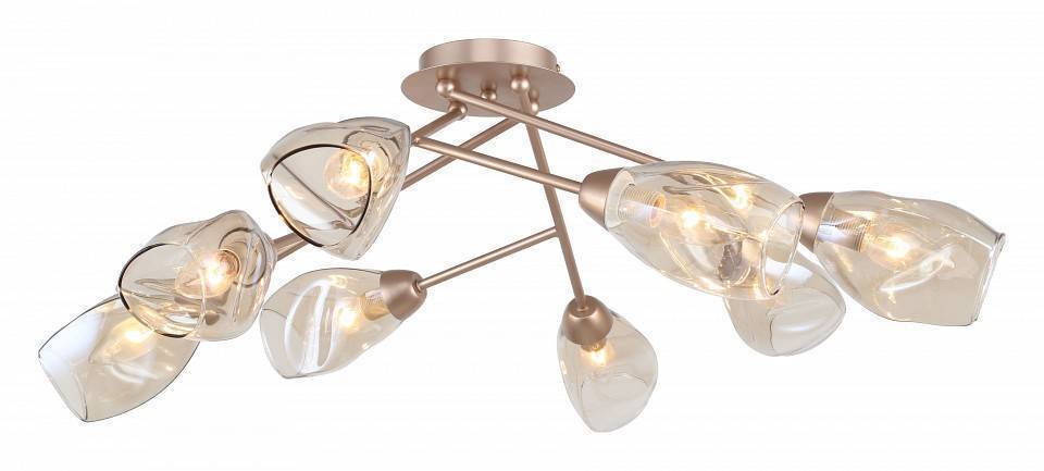 Потолочная люстра Rivoli Carrie 5хE27 Б0055456