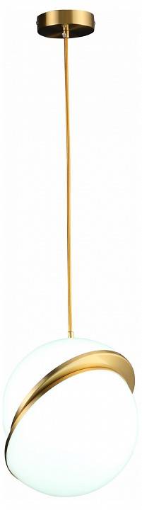 Подвесной светильник ST Luce Laico 1 лампа SL1164.313.01