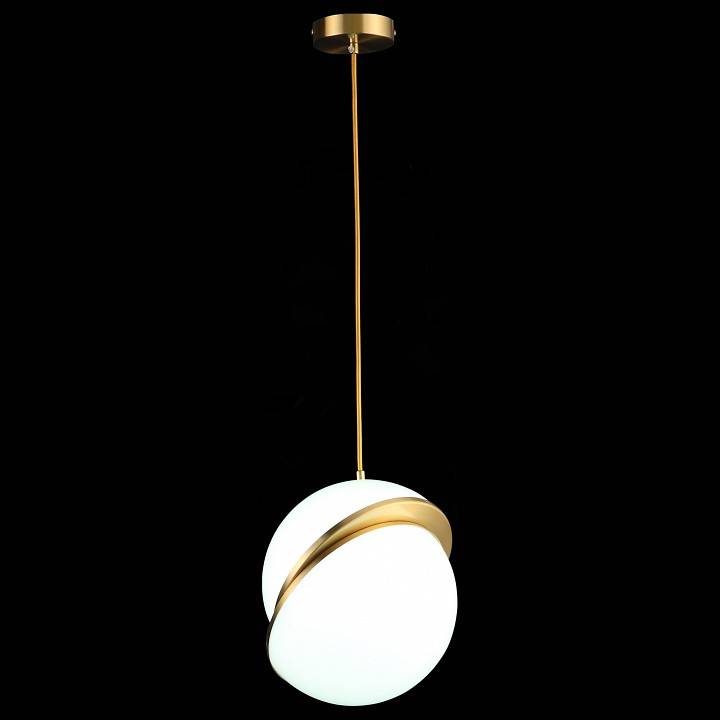 Подвесной светильник ST Luce Laico 1 лампа SL1164.313.01