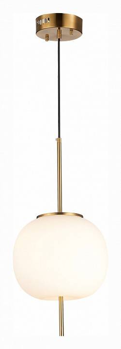 Подвесной светильник ST-Luce Lacus SL1621.203.01