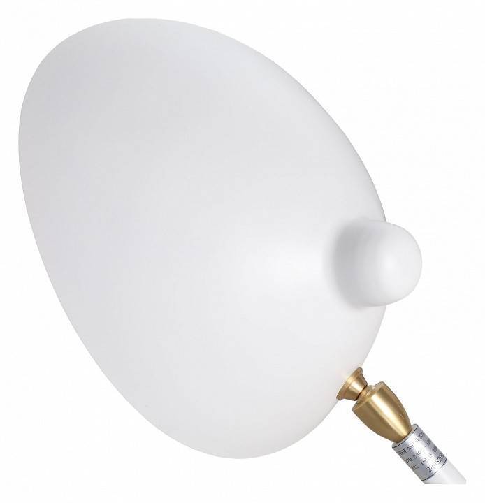 Настольная лампа декоративная ST Luce Spruzzo LED SL305.504.01