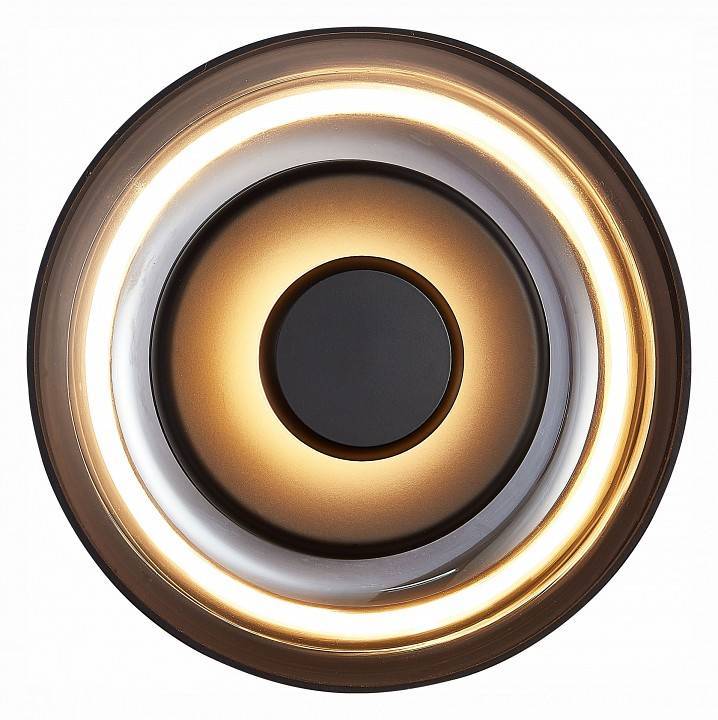 Накладной светильник ST-Luce Lazio SL6002.401.01