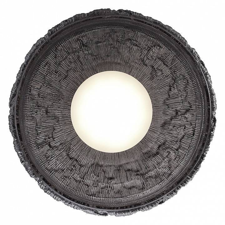 Подвесной светильник ST-Luce ANTIKE SL6143.413.01