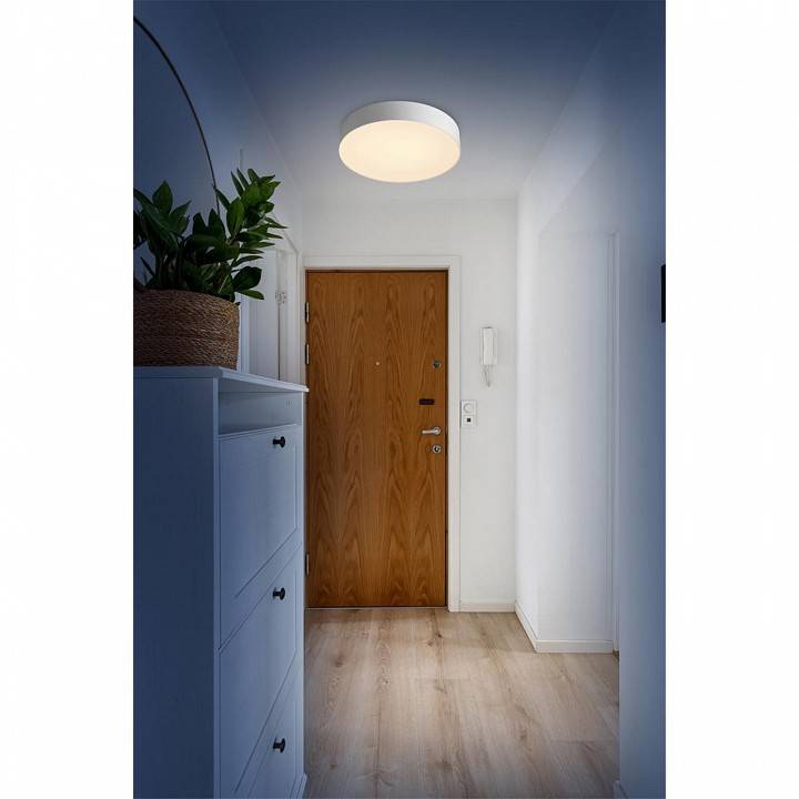 Накладной светильник Sonex Optima 7779/DL