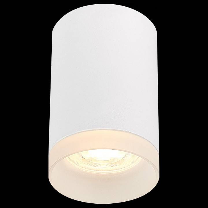 Накладной светильник ST-Luce ST100 ST100.502.01