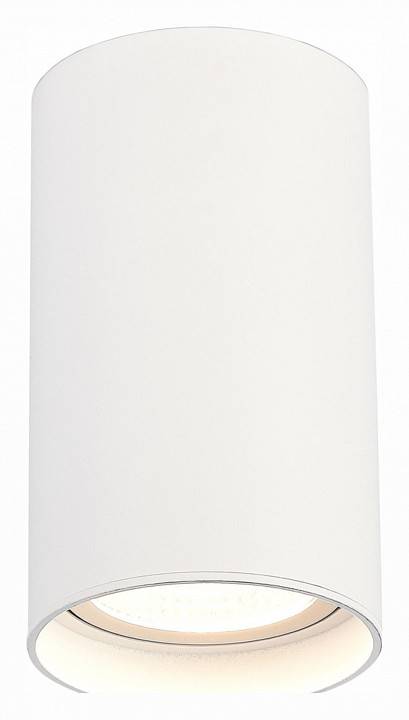 Накладной светильник ST-Luce ST157 ST157.532.20