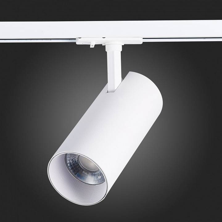 Светильник на штанге ST-Luce Mono ST350.546.30.24