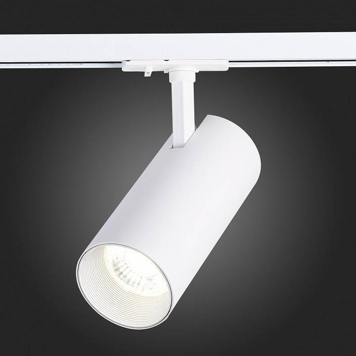 Светильник на штанге ST-Luce Mono ST350.546.30.24