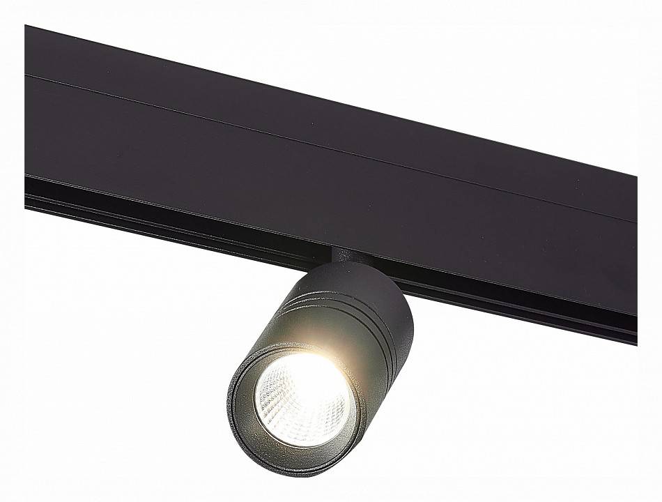 Светильник на штанге ST-Luce Lemmi ST365.446.07