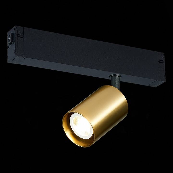 Светильник трековый ST-Luce SKYLINE 220 ST505.206.01