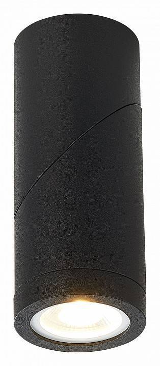 Светильник на штанге ST-Luce ST650 ST650.402.01