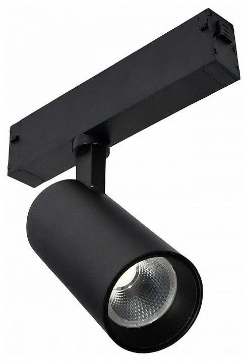 Светильник на штанге ST-Luce SKYLINE 220 ST660.446.10H