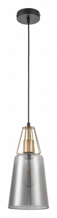 Подвесной светильник Vele Luce Roberto VL5552P21