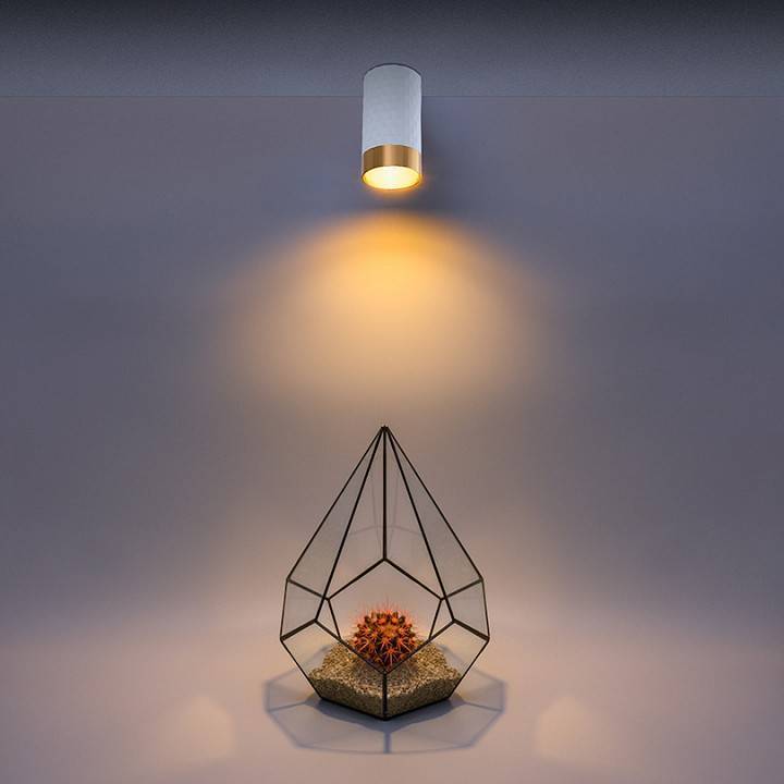 Накладной светильник Wolta CELLA WSL-GU10 WSL-GU10/10WG