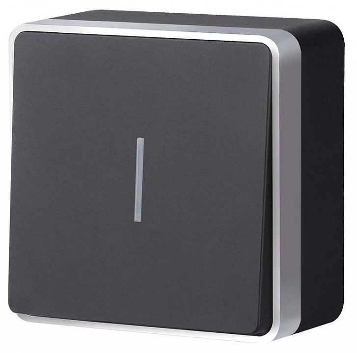 Выключатель одноклавишный с подсветкой Werkel Gallant (черный с серебром) W5010134