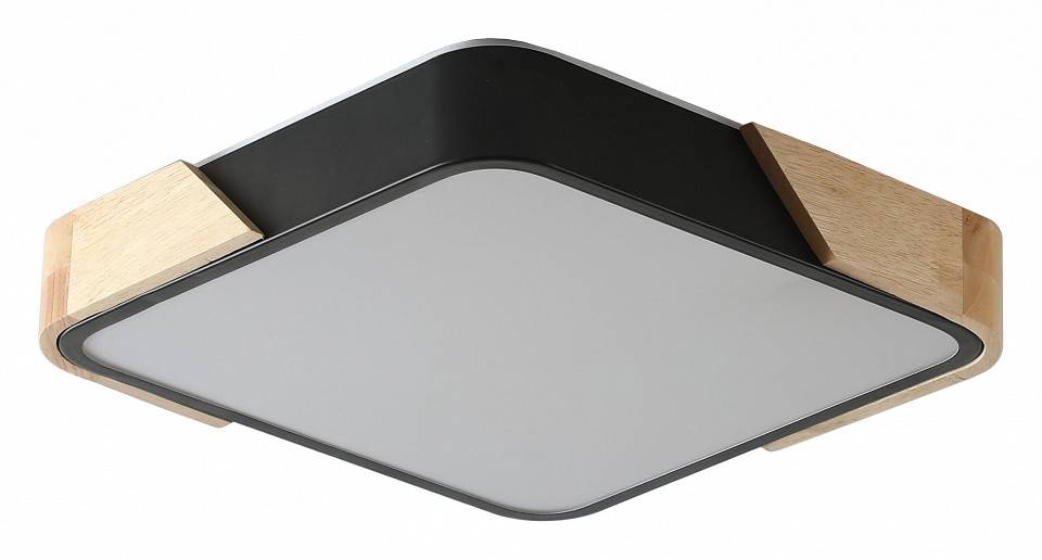 Накладной светильник Zortes ALBERRO ZRS.01281.24