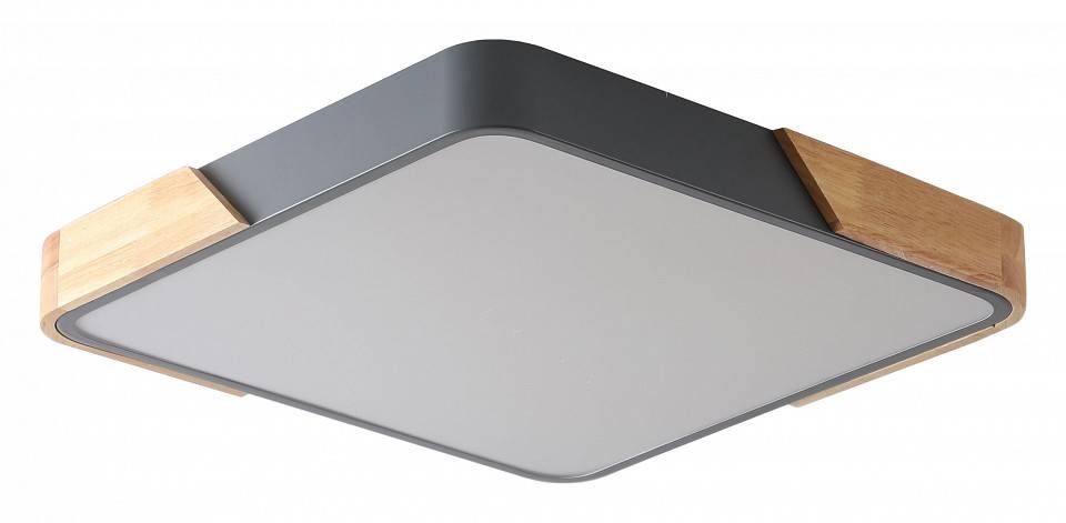 Накладной светильник Zortes ALBERRO ZRS.01288.36