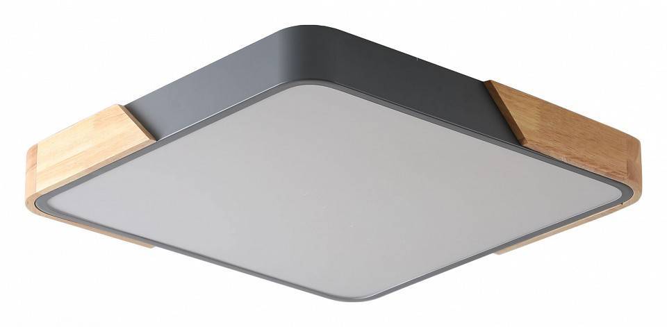 Накладной светильник Zortes ALBERRO ZRS.01288.36